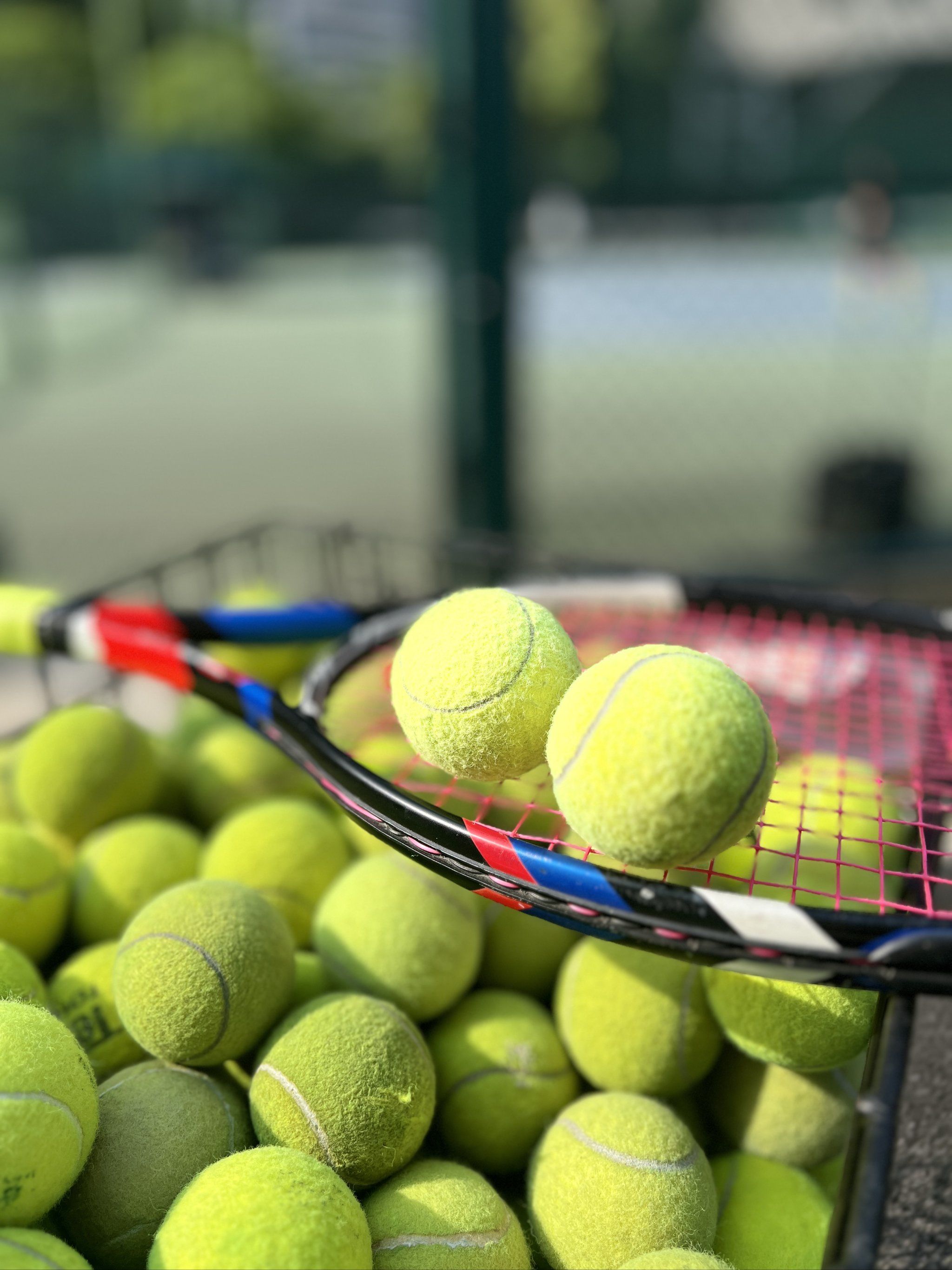 可忽视的力 可忽视的力